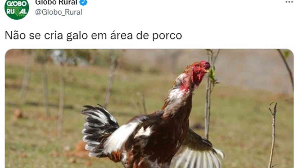 Garoando um pouco 🤣🤣 #viral