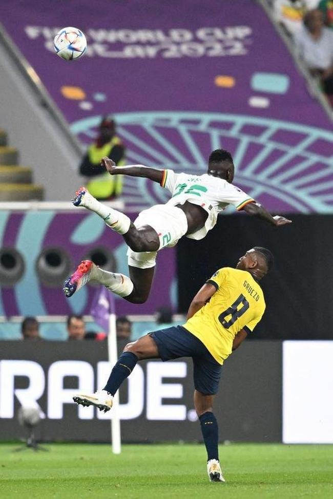 Equador e Senegal se enfrentaram pelo Grupo A da Copa do Mundo
