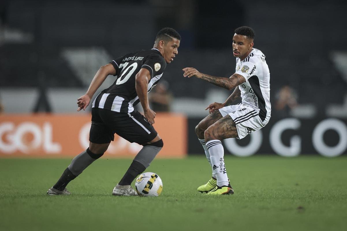 Botafogo x Atltico: veja fotos do jogo no Nilton Santos