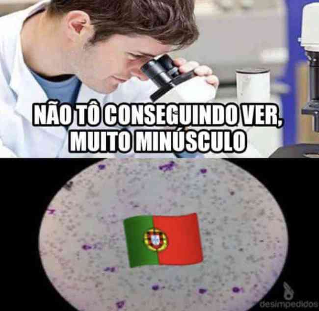 Portugal é tipo não aguento mais brasileiros nos zoando e a