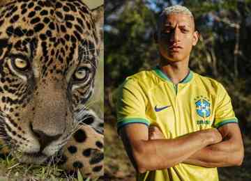 Jogador da Seleção Brasileira usou as redes sociais para cobrar medidas de segurança mais efetivas e condenar impunidade em casos de crueldade animal