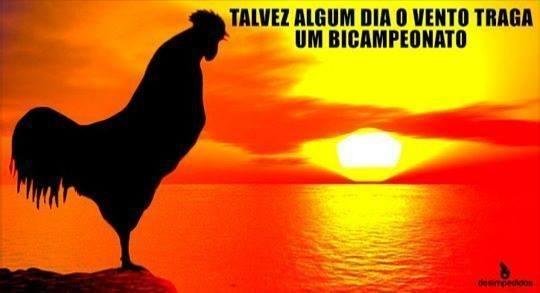 Memes da eliminao do Atltico na Copa do Brasil com a derrota para o Figueirense