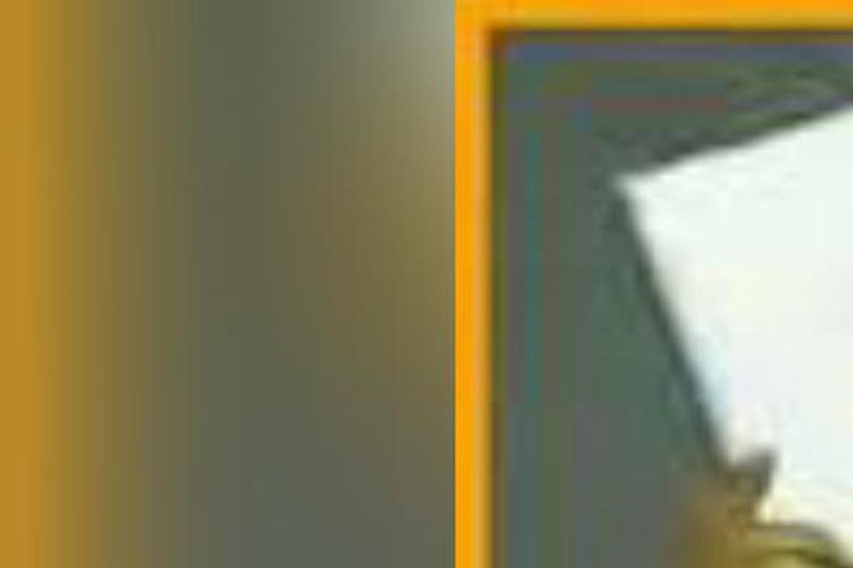 Veja os memes da derrota do Palmeiras para o Chelsea, por 2 a 1, na final do Mundial de Clubes