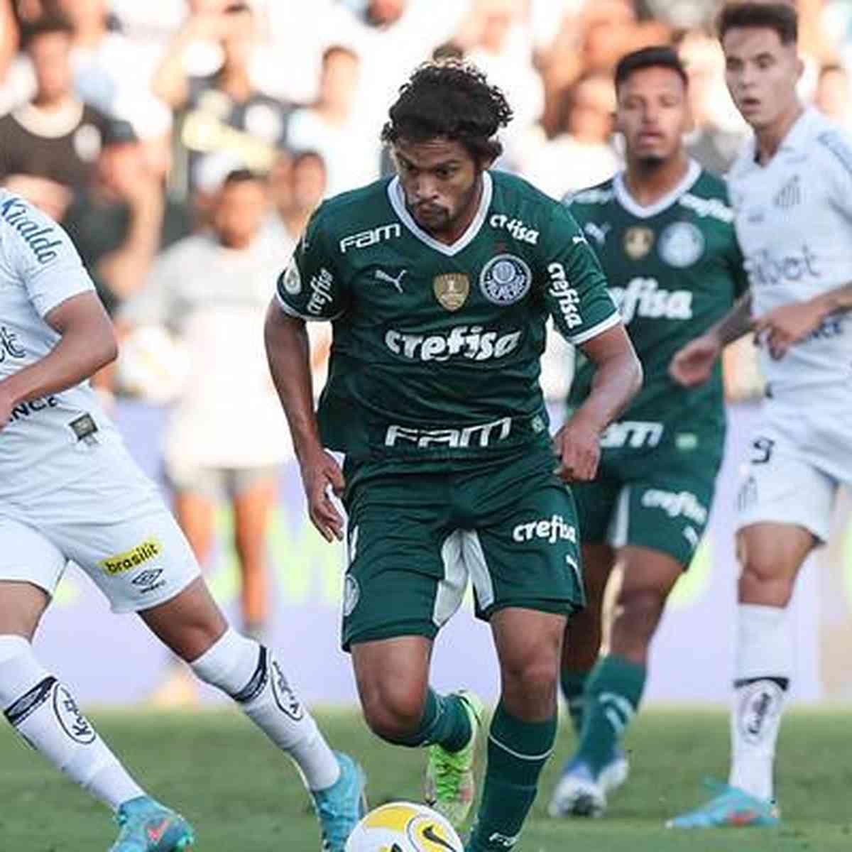 Santos x Palmeiras: onde assistir ao clássico da 7ª rodada do Brasileirão -  Giz Brasil