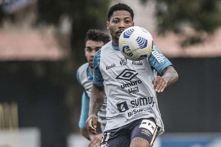 (Foto: Ivan Storti/Santos FC) (Foto: Ivan Storti/Santos FC)