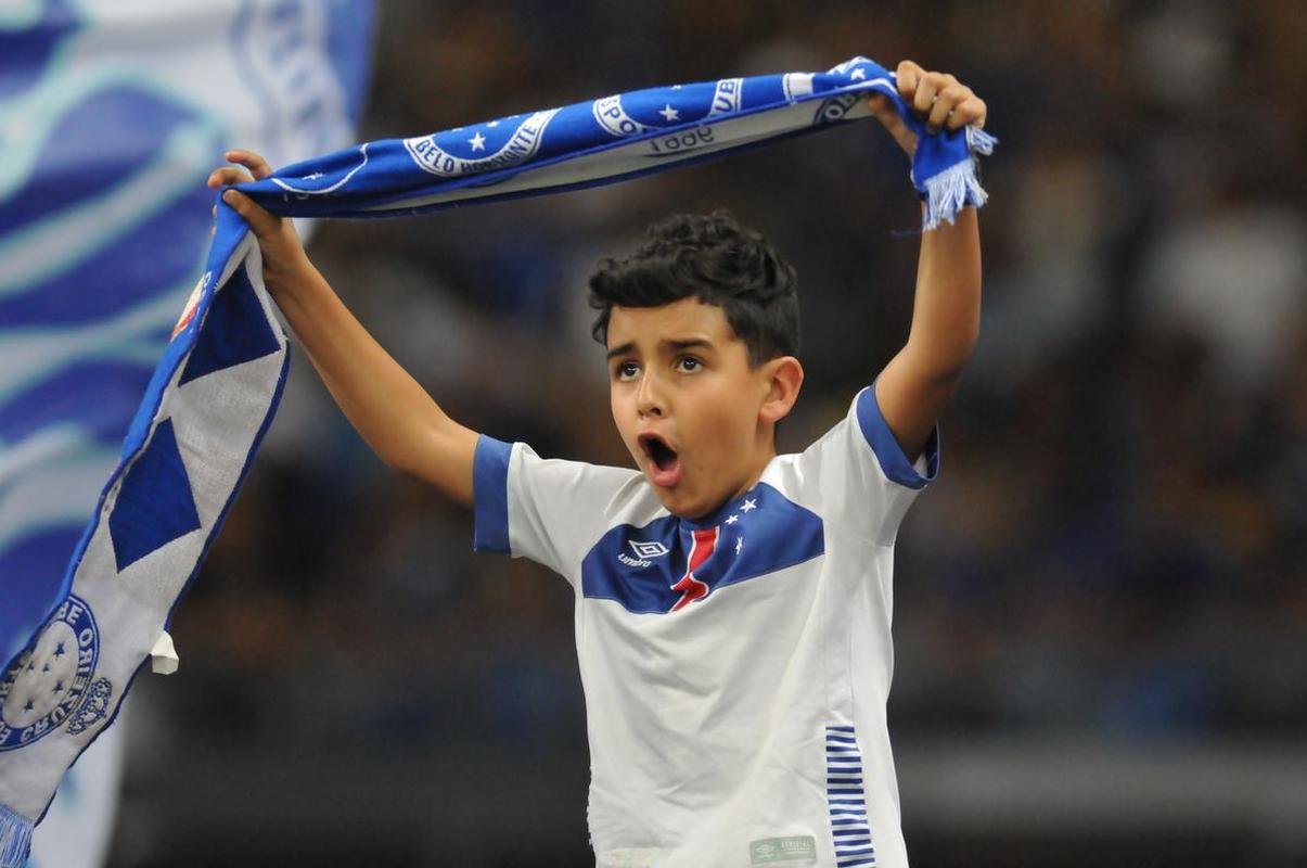Fotos da torcida do Cruzeiro durante a partida contra o Operrio-PR, no Mineiro, pela 29 rodada da Srie B