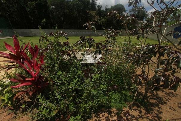 CT Ninho das Cobras j opera com um campo, o segundo segundo teve a drenagem finalizada e segue para os prximos passos da obra