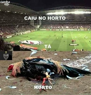 Após conquista do título, cruzeirenses provocam na internet! Veja os memes