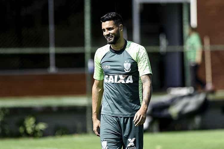 Mourão Panda / América Mourão Panda / América