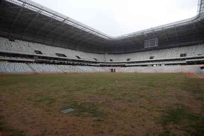 MRV Arena Lawn