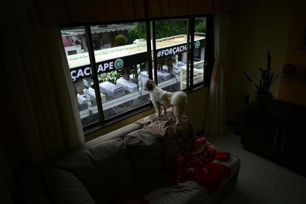Imagens tocantes da chegada dos corpos à Arena Condá
