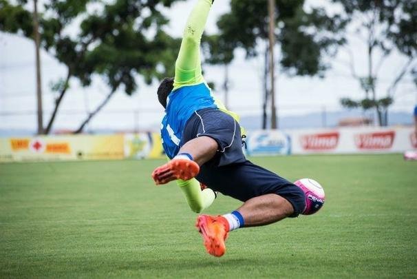 A manh de domingo foi de trabalho intenso na Toca da Raposa II