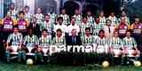 1992 - Palmeiras - venceu o Athletico-PR no primeiro jogo das quartas de final, fora de casa, por 1 a 0. Em casa, ganhou por 3 a 1 e garantiu a classificao. A equipe foi eliminada na semifinal, pelo Internacional.