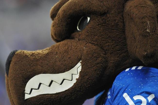 Fotos da partida entre Cruzeiro e Novorizontino, neste domingo (17), no Mineiro, em Belo Horizonte. Jogo  vlido pela 18 rodada da Srie B do Campeonato Brasileiro.