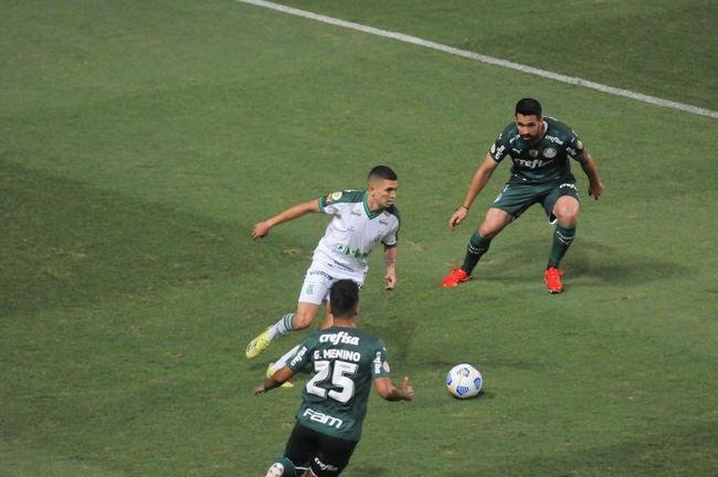 Fotos do jogo entre Amrica e Palmeiras, no Independncia, em Belo Horizonte, pela 24 rodada do Campeonato Brasileiro