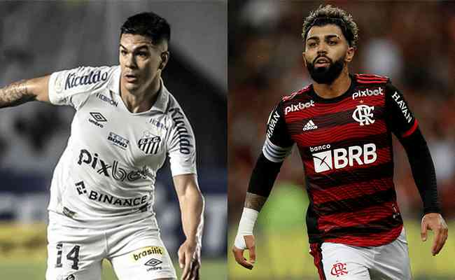 Campeonato Brasileiro  Flamengo x Santos - AO VIVO 