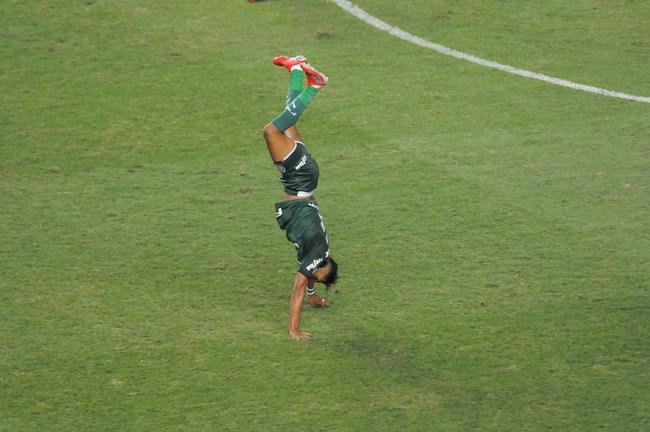 Fotos do jogo entre Amrica e Palmeiras, no Independncia, em Belo Horizonte, pela 24 rodada do Campeonato Brasileiro