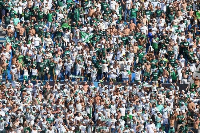 Torcida do Palmeiras na final da Libertadores