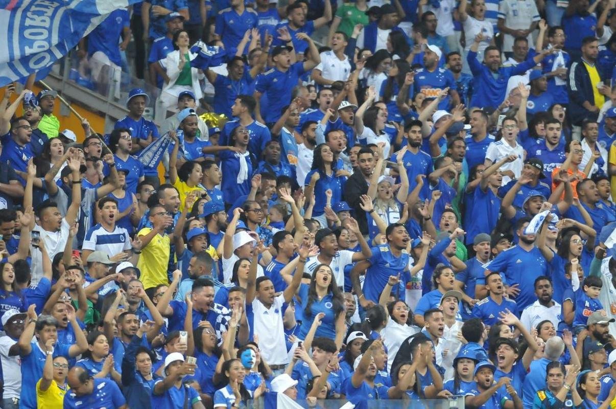 Fotos da torcida do Cruzeiro durante a partida contra o Operrio-PR, no Mineiro, pela 29 rodada da Srie B