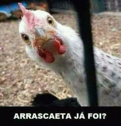 Torcedores do Cruzeiro tiram sarro de atleticanos após conquista do Mineiro