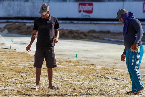 Enquanto aguarda a definição de quem será o treinador para iniciar montagem do elenco, Santa Cruz investe na reforma do gramado de seu estádio para receber as partidas da temporada 2020