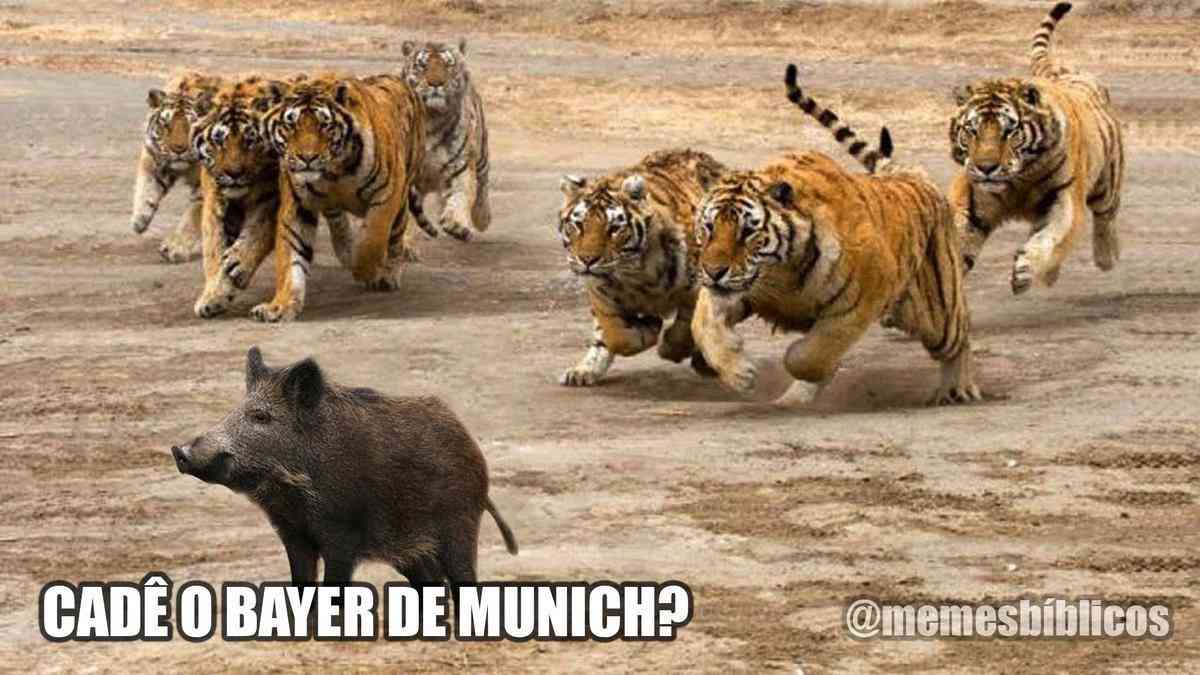 Palmeiras perde do Tigres, fica sem Mundial e memes bombam nas